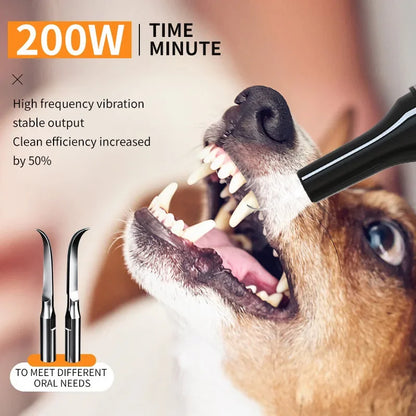 Electronic Dog Oral Care Device, Tartar Remover, Portable Ultrasonic Cleaner