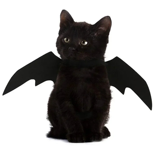 Halloween Dog or Cat Costume, Black Bat Wings, Cosplay Costume