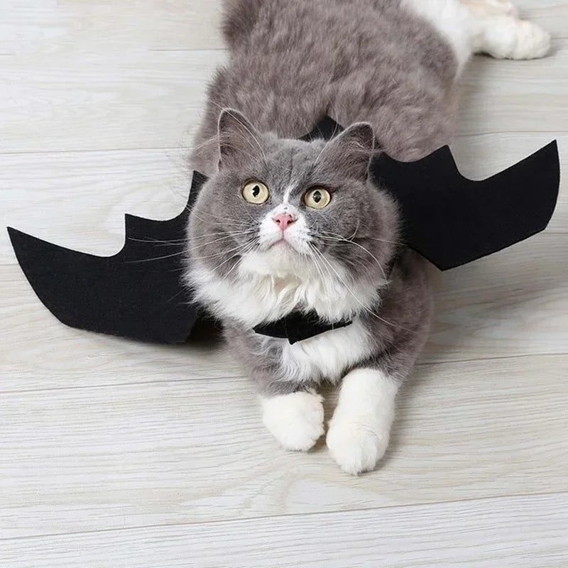 Halloween Dog or Cat Costume, Black Bat Wings, Cosplay Costume