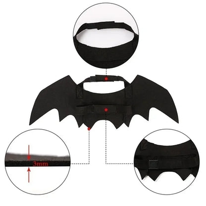 Halloween Dog or Cat Costume, Black Bat Wings, Cosplay Costume