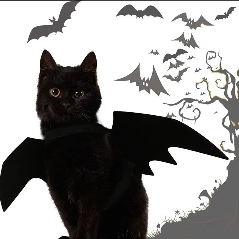 Halloween Dog or Cat Costume, Black Bat Wings, Cosplay Costume